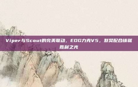 Viper与Scout的完美联动，EDG力克V5，默契配合铸就胜利之光