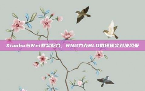 Xiaohu与Wei默契配合，RNG力克BLG展现顶尖对决风采