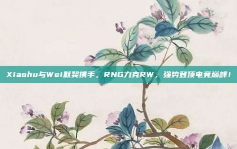 Xiaohu与Wei默契携手，RNG力克RW，强势登顶电竞巅峰！