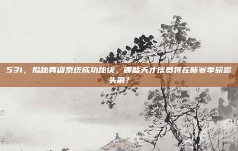 531，揭秘青训系统成功秘诀，哪些天才球员将在新赛季崭露头角？