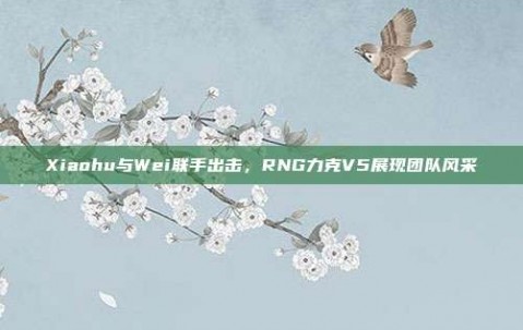 Xiaohu与Wei联手出击，RNG力克V5展现团队风采