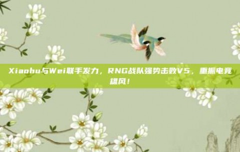 Xiaohu与Wei联手发力，RNG战队强势击败V5，重振电竞雄风！