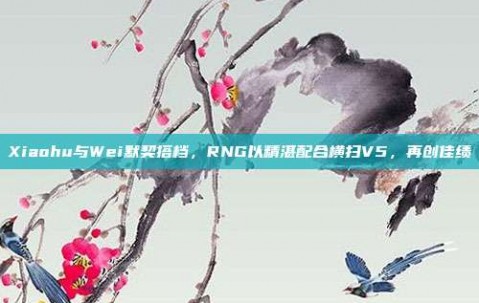 Xiaohu与Wei默契搭档，RNG以精湛配合横扫V5，再创佳绩