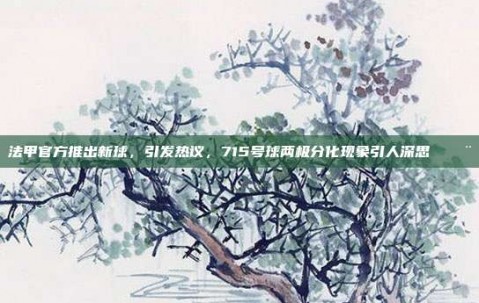 法甲官方推出新球，引发热议，715号球两极分化现象引人深思 🎨