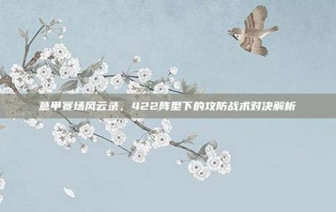 意甲赛场风云录，422阵型下的攻防战术对决解析