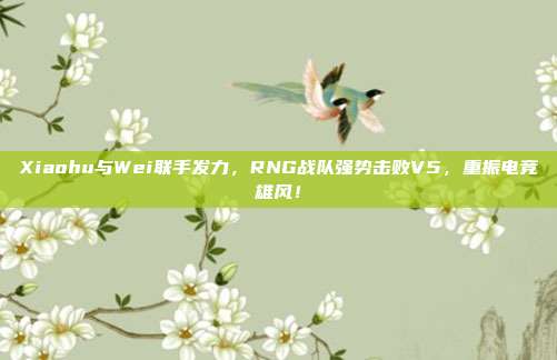 Xiaohu与Wei联手发力，RNG战队强势击败V5，重振电竞雄风！