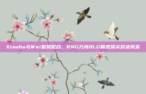 Xiaohu与Wei默契配合，RNG力克BLG展现顶尖对决风采