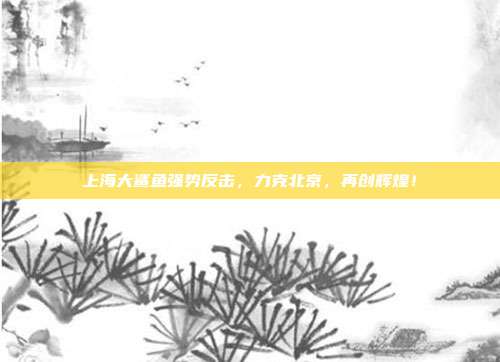 上海大鲨鱼强势反击，力克北京，再创辉煌！