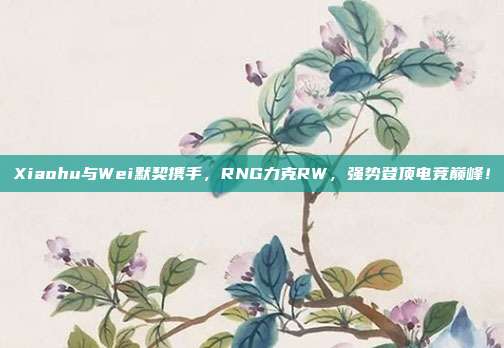 Xiaohu与Wei默契携手，RNG力克RW，强势登顶电竞巅峰！