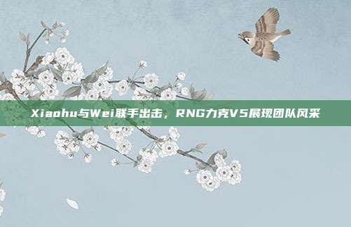 Xiaohu与Wei联手出击，RNG力克V5展现团队风采