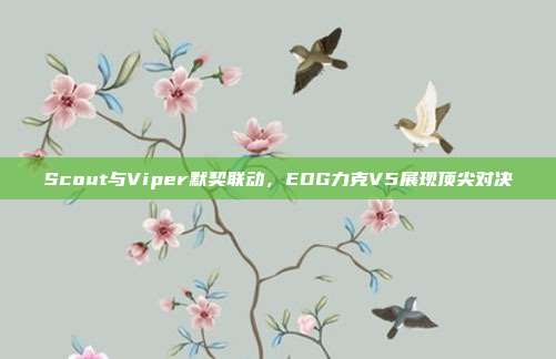 Scout与Viper默契联动，EDG力克V5展现顶尖对决