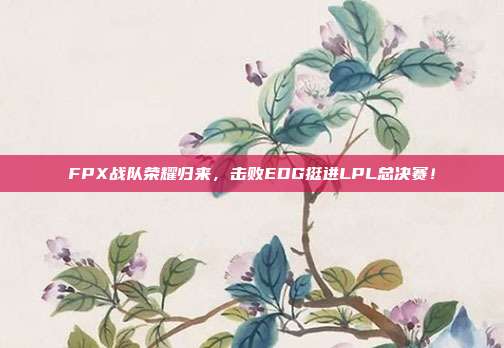 FPX战队荣耀归来，击败EDG挺进LPL总决赛！